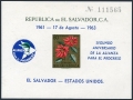 Salvador C192e var.6