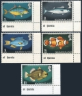 Solomon Islands 236-236, 240, 245 fishes