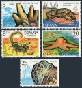 Spain 2158-2162