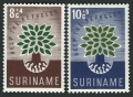 Surinam B73-B74