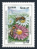 Syria 1338