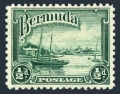 Bermuda 105