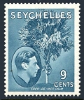 Seychelles 131 mlh