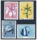 South Africa 430-433